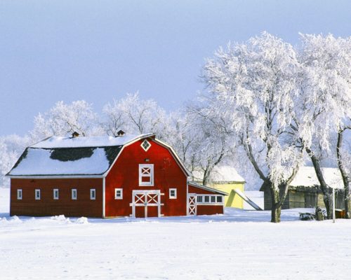 xp3-farm-winter